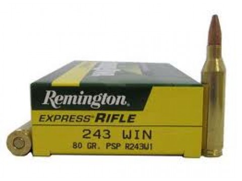 243 WIN Remington Core Lokt PSP/80Gr